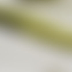 Fountain Pen: Diplomat Aero Citrus and Anthracite