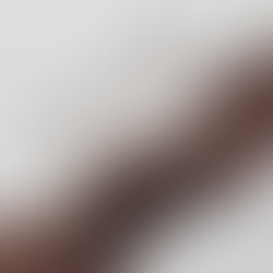 Ink Review: Robert Oster Choc Pudding