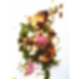 Dandelion Catering | Maine Caterer