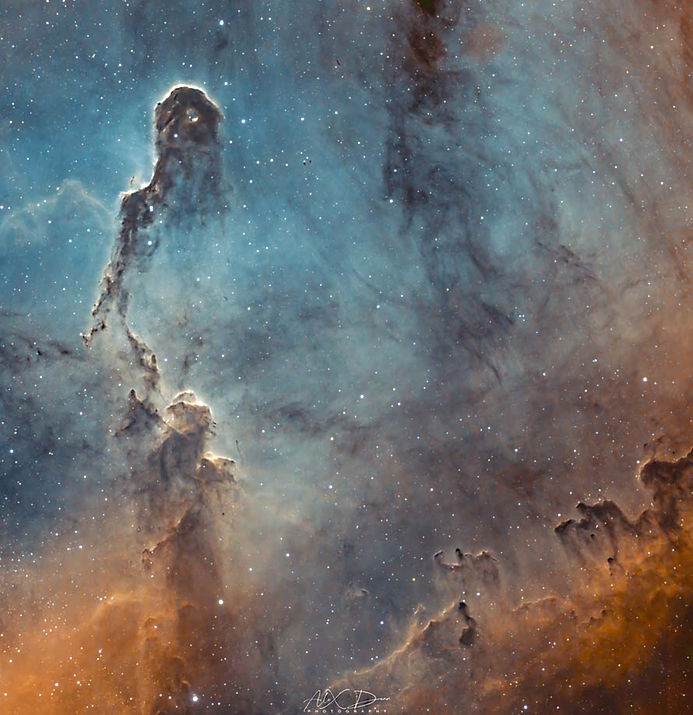 elephant trunk nebula