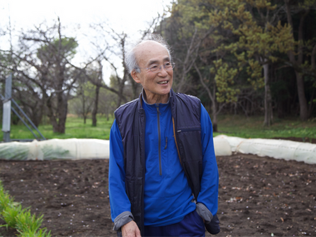 「べにはるか」を生んだ育種家が語る、さつまいもの底力 品種育種の第一人者が見据える、さつまいも産業の可能性