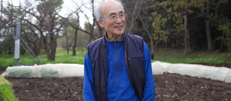 「べにはるか」を生んだ育種家が語る、さつまいもの底力 品種育種の第一人者が見据える、さつまいも産業の可能性