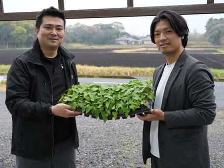 「サツマイモがなくなってはいけない」——鹿児島とともに歩む三和物産