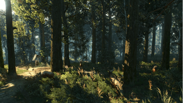 fog spooky forrest 3.gif