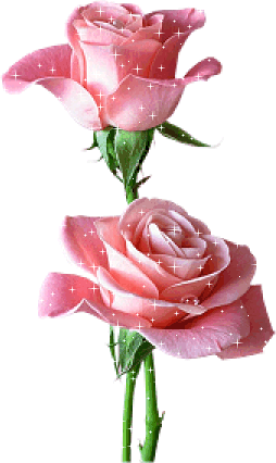 pink flower gif.gif