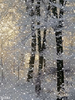 grtter snow gif.gif
