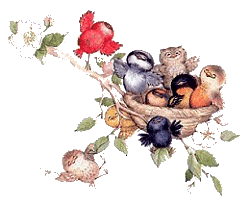 birds gif 6.gif