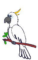 sweet bird 7.gif