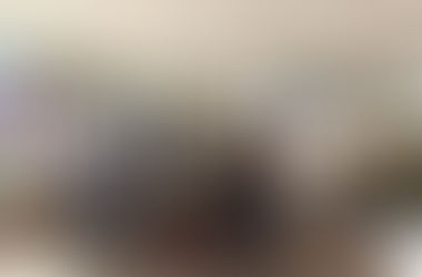 Sexto Tianguis Agroecologico cultural