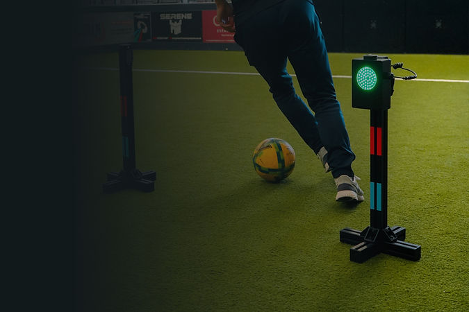 Gate Module _ Strip.jpg