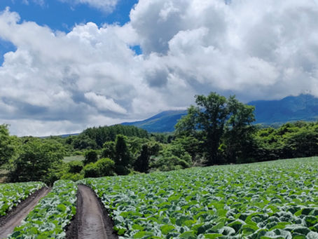 星遊処 ― seiyuudokoro ―