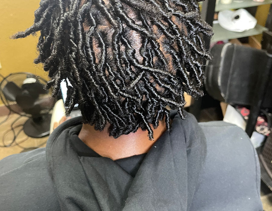 Starter Locs (Medium) by Jae Stylez