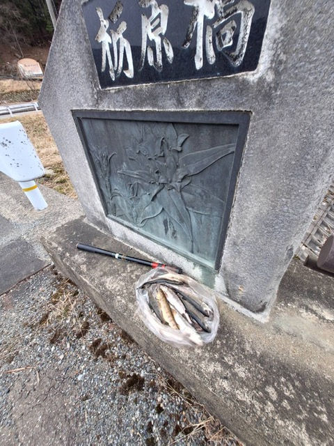 地元のスタッフが、短時間で釣り上げました。