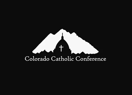 Memo Regarding Two 2024 Ballot Initiatives
