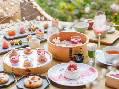 A Quiet Spring Afternoon in Kyoto
