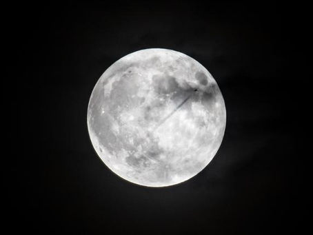 A Love Letter Named the Moon: From The Tale of the Bamboo Cutter to Soseki, and toward Tsukiyomi-no-miya