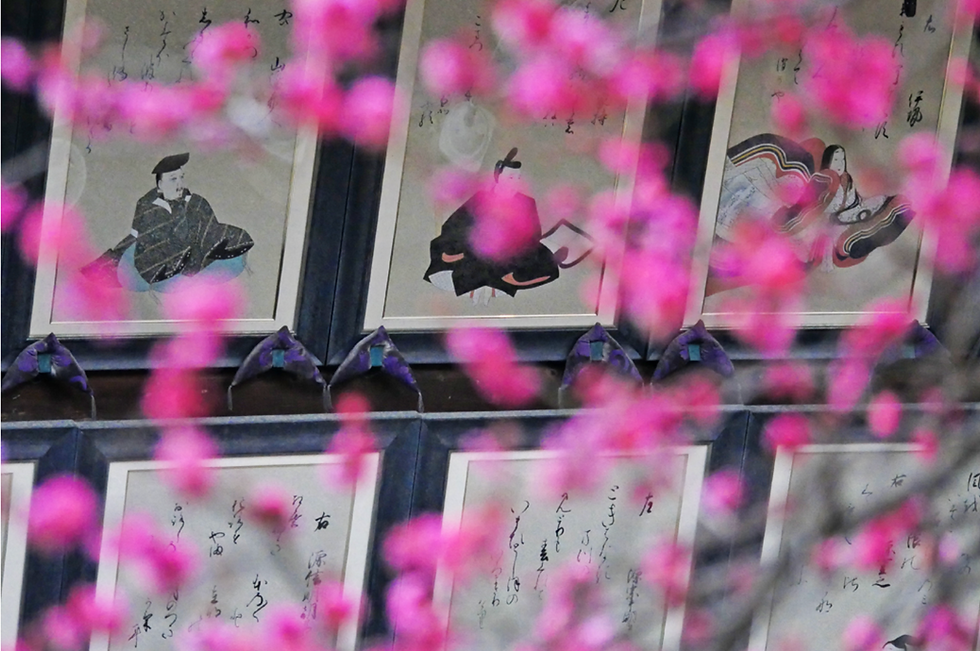 Spring Begins Before Cherry Blossoms