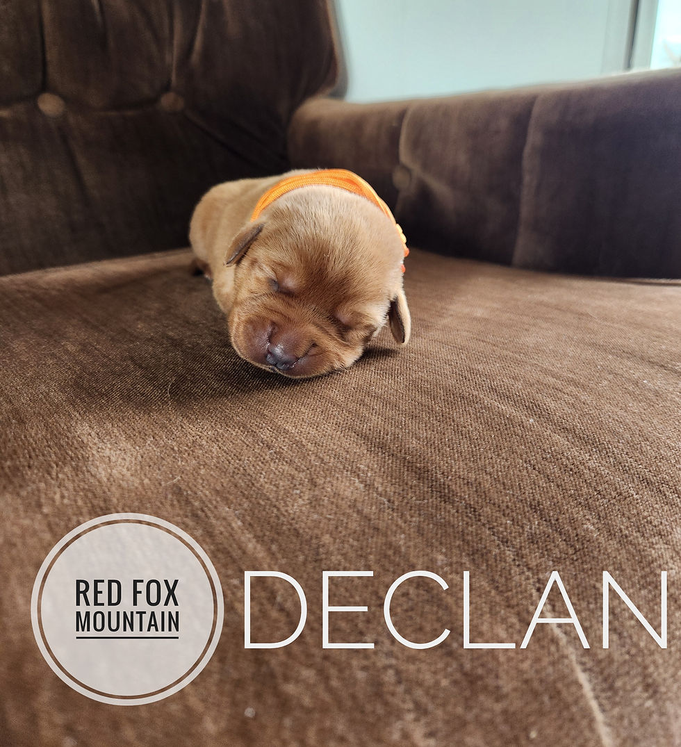 Declan