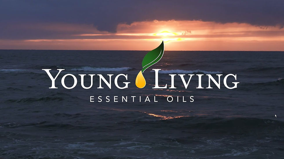 Discover the Benefits of Being a Young Living Brand Partner