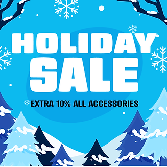 holiday sale email image.png