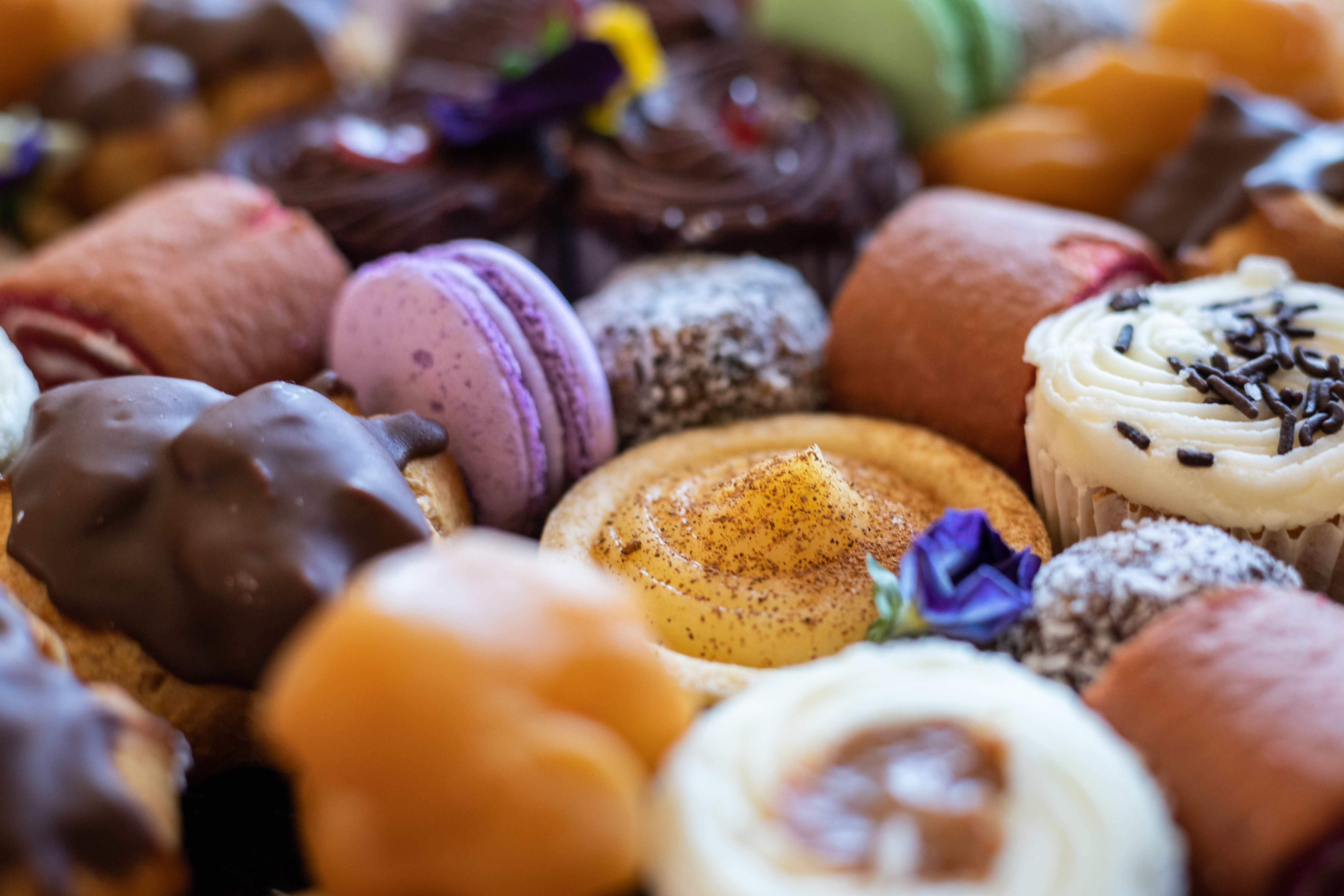 Arranged Food and Objects