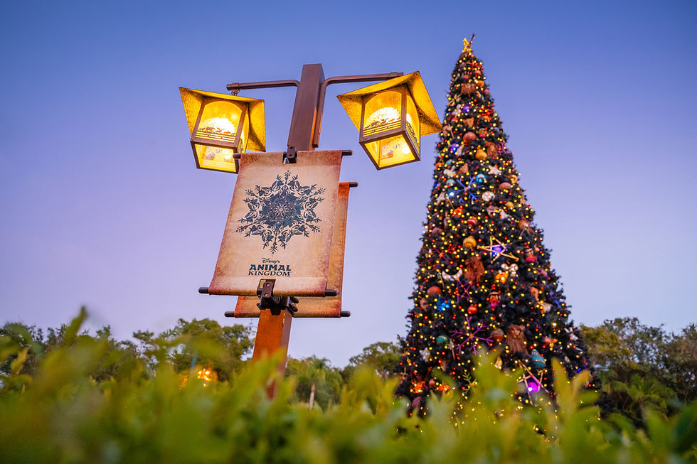 Christmas Tree at Disney's Animal Kingdom Park