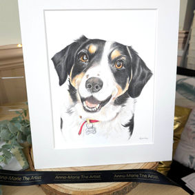 Pet memorial gift hand drawn in South Wales Caerphilly pet portrait artist