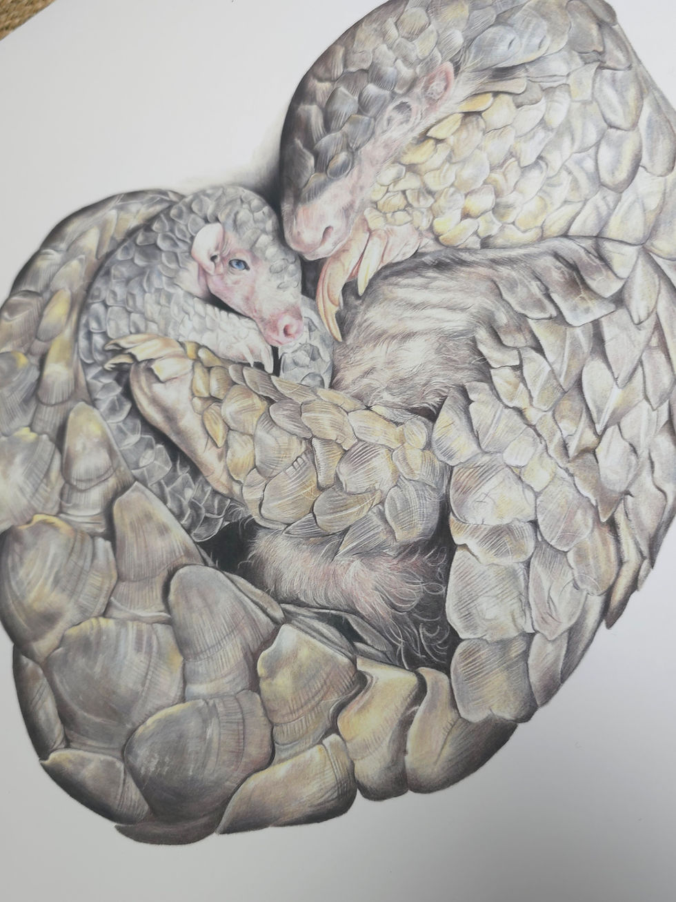 Thumbnail: 'Heart in Armour' Print