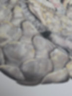 Thumbnail: 'Heart in Armour' Print