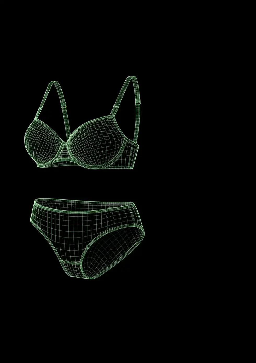 wireframe_3D_bra_set.webp