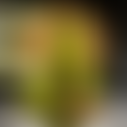 Fashion model wearing chartreuse crushed velvet dress