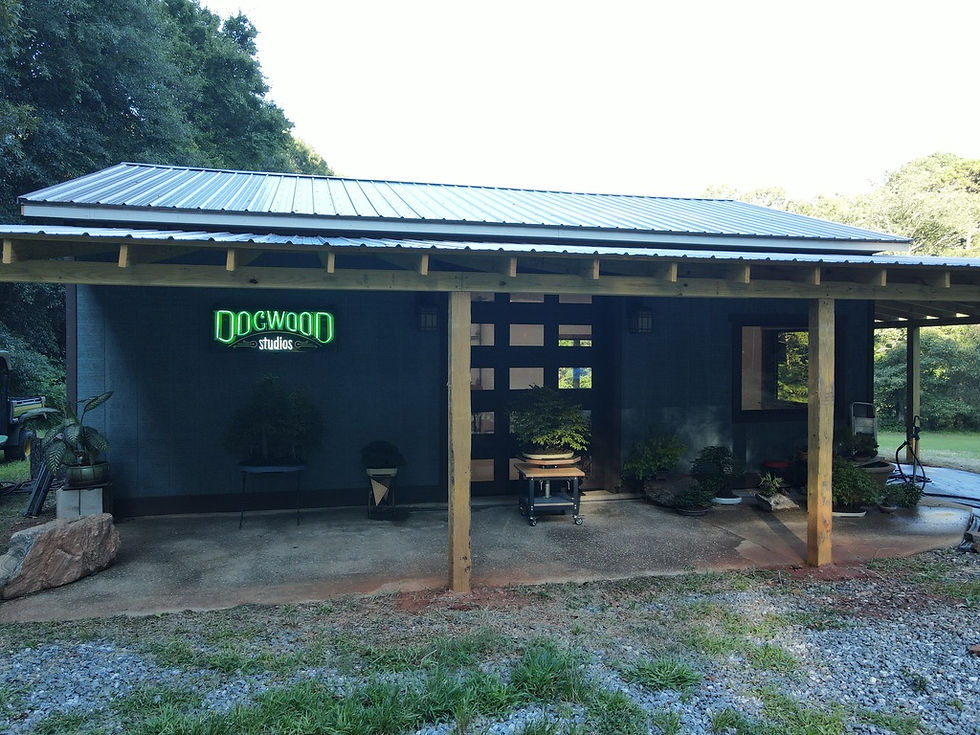 Thumbnail: Bonsai Workshop in 2026!