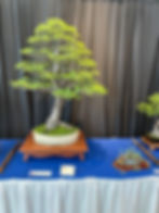 ree