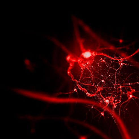 img_neuro.jpg
