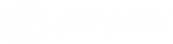 Logo Bigstein