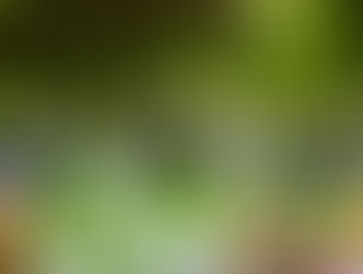 Nabij is in 2025 terug als tweedaags festival