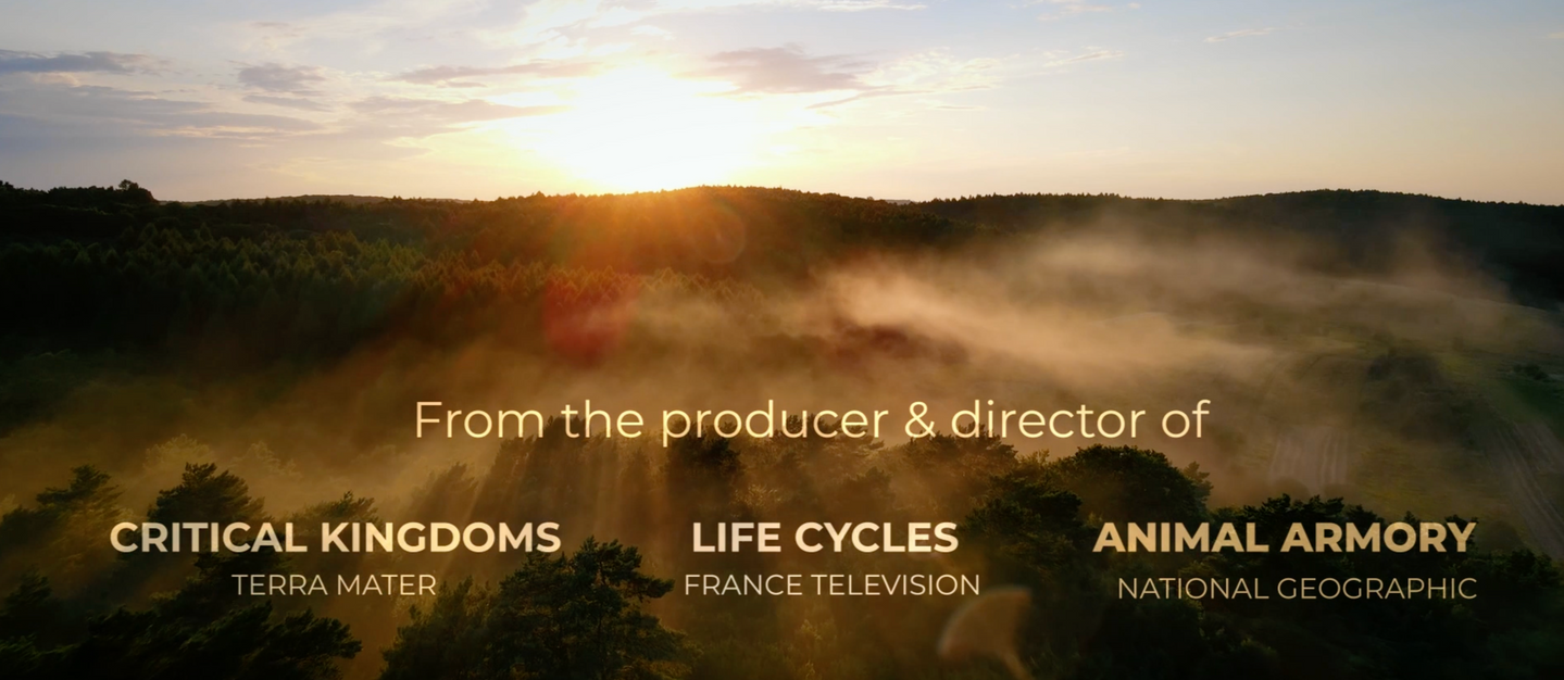 Journey/Global TV series