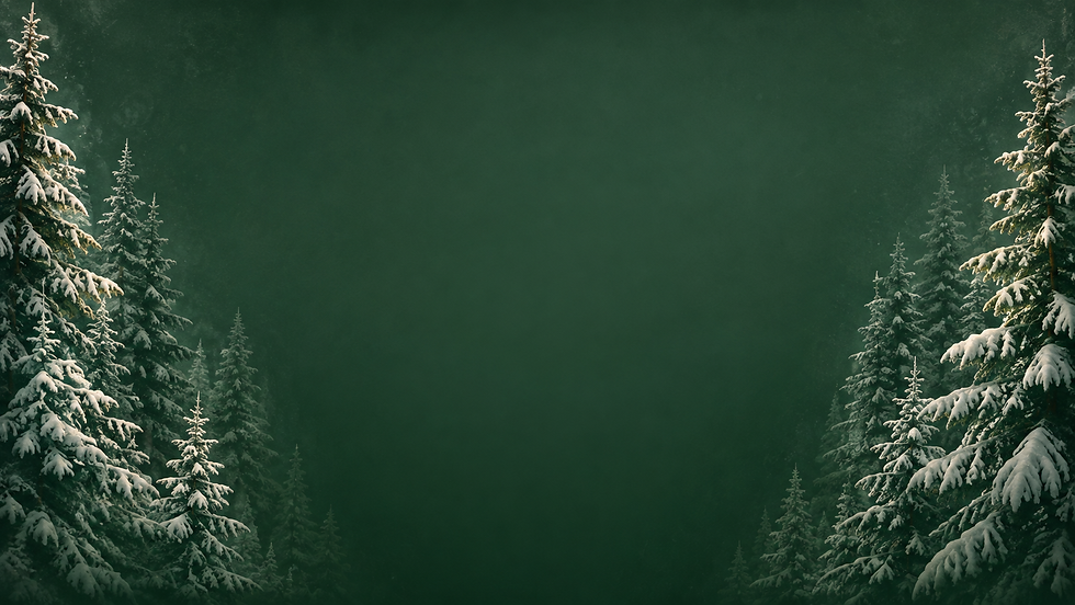 Top Notch Ski Resort Webpage Section Background Image.png