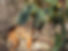 PSX_20241227_171647.jpg