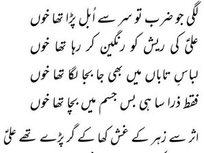 Lagi Jo Zarb To Sar Se Ubal Para Tha Khoon