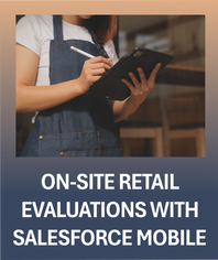 Salesforce Consulting Seattle Bellevue Mobile Retail Audit Documentation