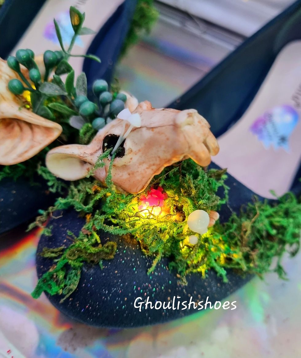 Miniaturbild: Moss forest