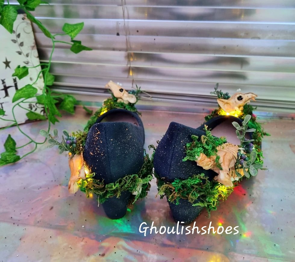 Miniatura: Moss forest