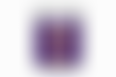 How Can You Confirmed With Best Protien Powder Review?