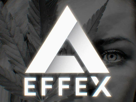 Highly Informative Details Regarding Delta-8