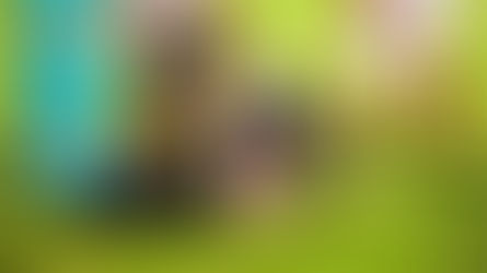 Tuks, Varsity College and Madibaz retain unbeaten streak; CPUT sneak past TUT 