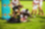 Tuks, Varsity College and Madibaz retain unbeaten streak; CPUT sneak past TUT