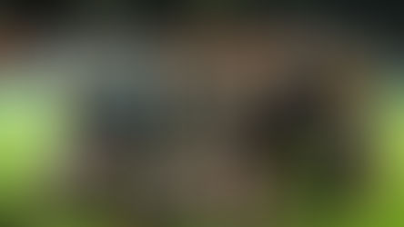 Varsity College want to do basics right against Madibaz  