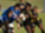 UFH Blues fighting for survival