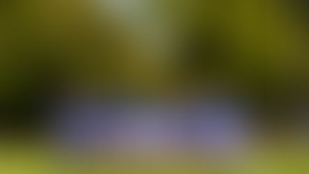 Shimlas’ Tyreec Liedeman dreaming big 